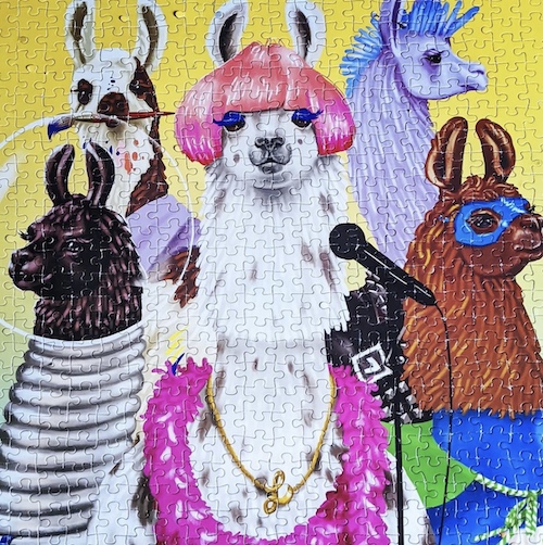 Random vs Ribbon Cut Puzzles